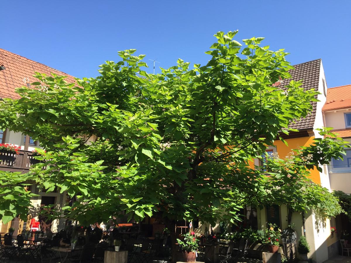 Gasthof Zum Storch Prichsenstadt Esterno foto